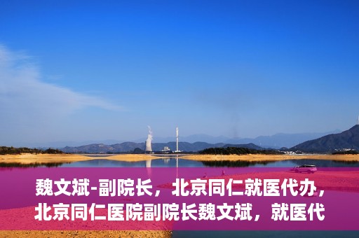 魏文斌-副院长，北京同仁就医代办，北京同仁医院副院长魏文斌，就医代办的专业解读与实践