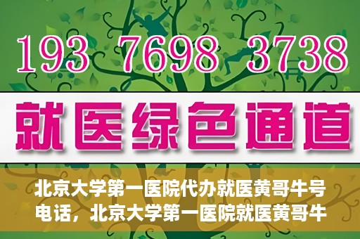 北京大学第一医院代办就医黄哥牛号电话，北京大学第一医院就医黄哥牛号代办服务电话揭秘