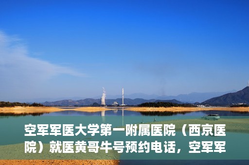 空军军医大学第一附属医院（西京医院）就医黄哥牛号预约电话，空军军医大学第一附属医院（西京医院）黄哥牛号预约电话详解，便捷就医新途径
