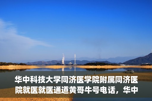 华中科技大学同济医学院附属同济医院就医就医通道黄哥牛号电话，华中科技大学同济医院就医通道详解，黄哥牛号电话一览无余