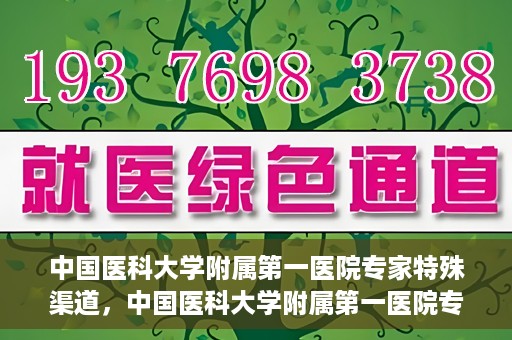 中国医科大学附属第一医院专家特殊渠道，中国医科大学附属第一医院专家特殊渠道揭秘，权威医疗资源的背后故事