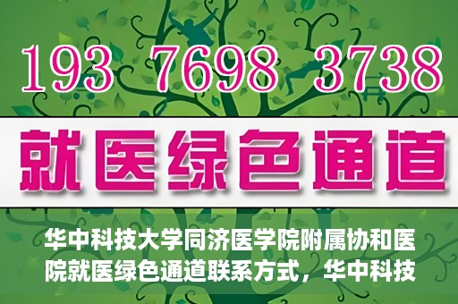 华中科技大学同济医学院附属协和医院就医绿色通道联系方式，华中科技大学同济医学院附属协和医院就医绿色通道联系指南，一站式解决您的医疗需求​​​​