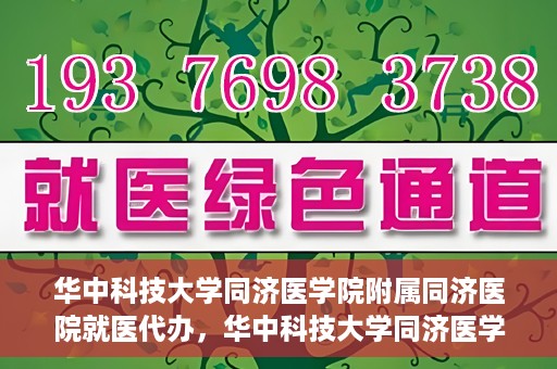 华中科技大学同济医学院附属同济医院就医代办，华中科技大学同济医学院附属同济医院就医代办服务详解