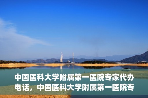 中国医科大学附属第一医院专家代办电话，中国医科大学附属第一医院专家电话代办服务详解