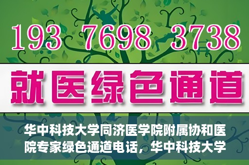 华中科技大学同济医学院附属协和医院专家绿色通道电话，华中科技大学同济医学院附属协和医院专家绿色通道联系电话揭秘
