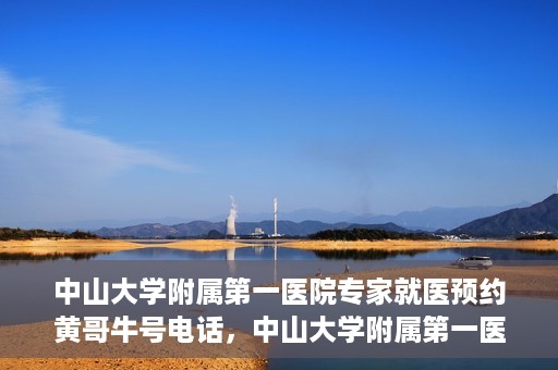 中山大学附属第一医院专家就医预约黄哥牛号电话，中山大学附属第一医院专家黄哥牛号预约电话，快速预约就医新通道揭秘