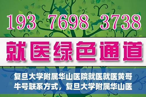 复旦大学附属华山医院就医就医黄哥牛号联系方式，复旦大学附属华山医院就医指南，黄哥牛号联系方式揭秘