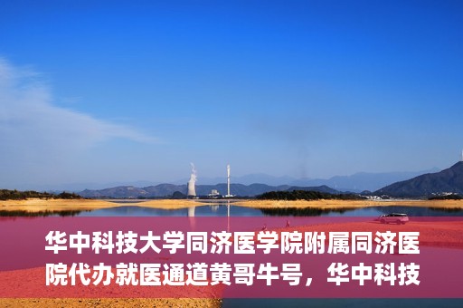 华中科技大学同济医学院附属同济医院代办就医通道黄哥牛号，华中科技大学同济医院就医通道代办服务，黄哥牛号助您轻松就医