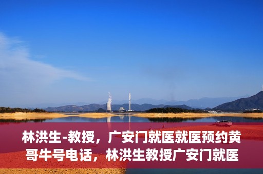 林洪生-教授，广安门就医就医预约黄哥牛号电话，林洪生教授广安门就医预约热线及黄哥牛号电话揭秘