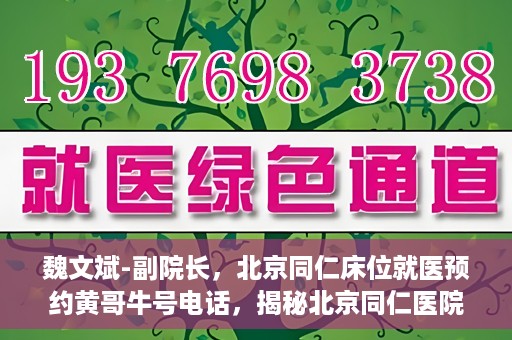 魏文斌-副院长，北京同仁床位就医预约黄哥牛号电话，揭秘北京同仁医院预约背后的故事，副院长魏文斌与床位预约黄哥牛号电话解读