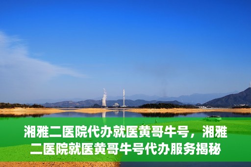 湘雅二医院代办就医黄哥牛号，湘雅二医院就医黄哥牛号代办服务揭秘