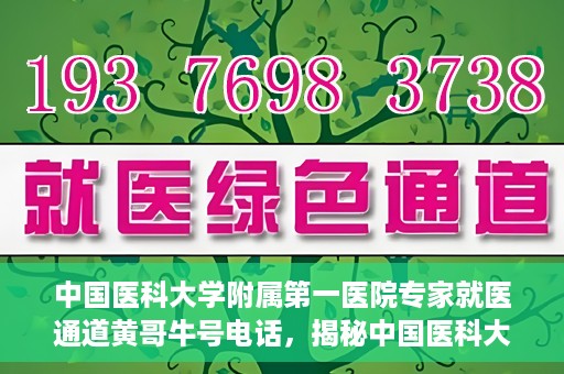 中国医科大学附属第一医院专家就医通道黄哥牛号电话，揭秘中国医科大学附属第一医院专家就医通道，黄哥牛号电话专线揭秘