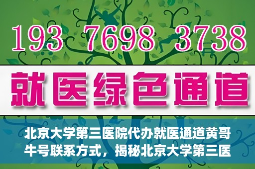 北京大学第三医院代办就医通道黄哥牛号联系方式，揭秘北京大学第三医院就医代办通道，黄哥牛号联系方式及操作指南