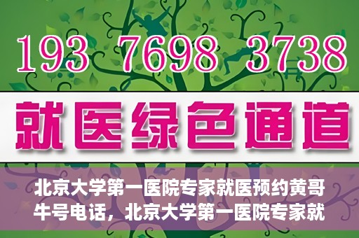 北京大学第一医院专家就医预约黄哥牛号电话，北京大学第一医院专家就医预约热线黄哥牛号电话全攻略