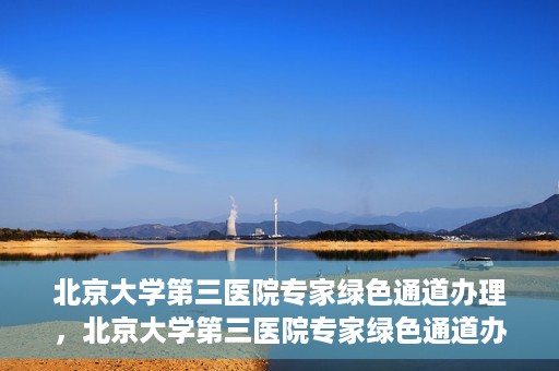 北京大学第三医院专家绿色通道办理，北京大学第三医院专家绿色通道办理详解，一站式服务助力高效就医体验