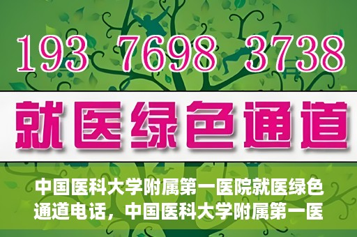 中国医科大学附属第一医院就医绿色通道电话，中国医科大学附属第一医院就医绿色通道服务热线电话解析及介绍