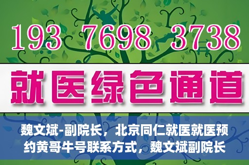 魏文斌-副院长，北京同仁就医就医预约黄哥牛号联系方式，魏文斌副院长与北京同仁医院预约就医秘籍，黄哥牛号联系方式揭秘
