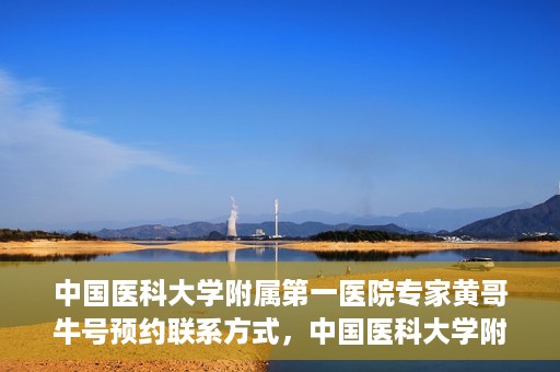 中国医科大学附属第一医院专家黄哥牛号预约联系方式，中国医科大学附属第一医院黄哥牛专家号预约联系方式及指南