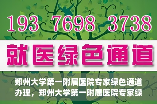 郑州大学第一附属医院专家绿色通道办理，郑州大学第一附属医院专家绿色通道办理详解，一站式服务体验与高效就医流程