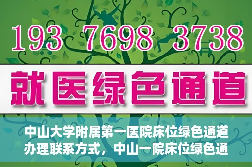中山大学附属第一医院床位绿色通道办理联系方式，中山一院床位绿色通道办理指南，快速联系方法与流程解析