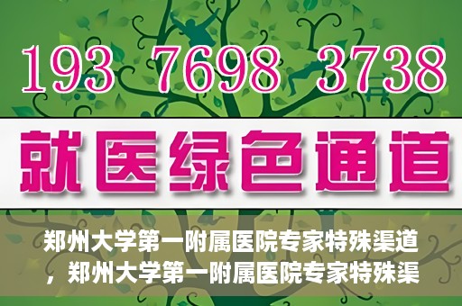 郑州大学第一附属医院专家特殊渠道，郑州大学第一附属医院专家特殊渠道揭秘，权威医疗资源的背后故事