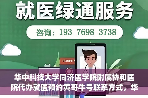 华中科技大学同济医学院附属协和医院代办就医预约黄哥牛号联系方式，华中科技大学同济医学院附属协和医院预约挂号联系方式揭秘，黄哥牛号助您轻松预约就医服务