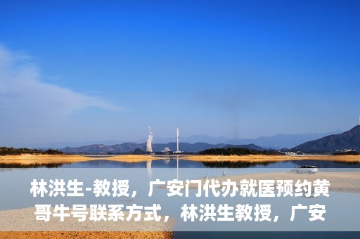 林洪生-教授，广安门代办就医预约黄哥牛号联系方式，林洪生教授，广安门就医预约背后的故事，黄哥牛号联系方式揭秘