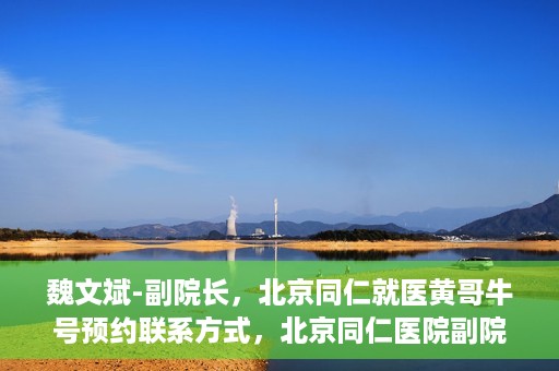 魏文斌-副院长，北京同仁就医黄哥牛号预约联系方式，北京同仁医院副院长魏文斌，黄哥牛号预约联系方式及就医指南