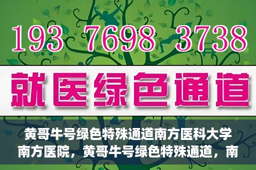 黄哥牛号绿色特殊通道南方医科大学南方医院，黄哥牛号绿色特殊通道，南方医科大学南方医院的探索与实践