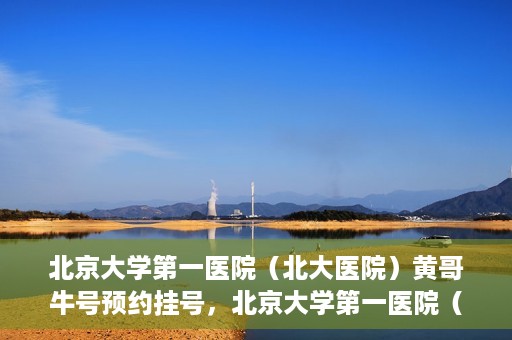 北京大学第一医院（北大医院）黄哥牛号预约挂号，北京大学第一医院（北大医院）黄哥牛号，预约挂号攻略