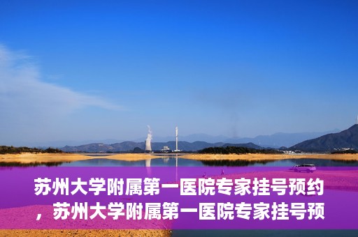苏州大学附属第一医院专家挂号预约，苏州大学附属第一医院专家挂号预约攻略，一站式解决您的就医需求