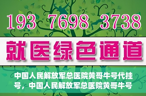 中国人民解放军总医院黄哥牛号代挂号，中国人民解放军总医院黄哥牛号代挂号解析，揭秘挂号背后的故事