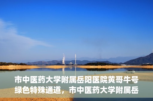 市中医药大学附属岳阳医院黄哥牛号绿色特殊通道，市中医药大学附属岳阳医院黄哥牛号，绿色特殊通道开启健康之门