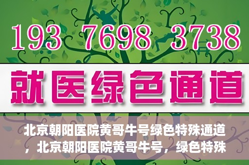 北京朝阳医院黄哥牛号绿色特殊通道，北京朝阳医院黄哥牛号，绿色特殊通道开启健康之门