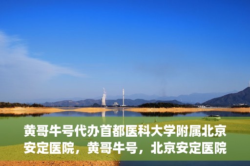 黄哥牛号代办首都医科大学附属北京安定医院，黄哥牛号，北京安定医院代办服务详解