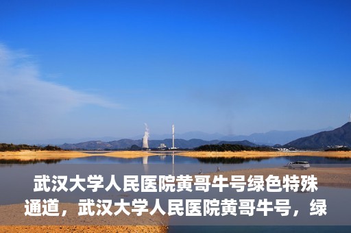 武汉大学人民医院黄哥牛号绿色特殊通道，武汉大学人民医院黄哥牛号，绿色特殊通道开启