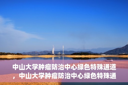 中山大学肿瘤防治中心绿色特殊通道，中山大学肿瘤防治中心绿色特殊通道，守护生命，快速通行之道