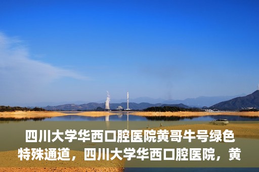 四川大学华西口腔医院黄哥牛号绿色特殊通道，四川大学华西口腔医院，黄哥牛号绿色特殊通道揭秘
