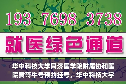 华中科技大学同济医学院附属协和医院黄哥牛号预约挂号，华中科技大学同济医学院附属协和医院黄哥牛号预约挂号攻略解析