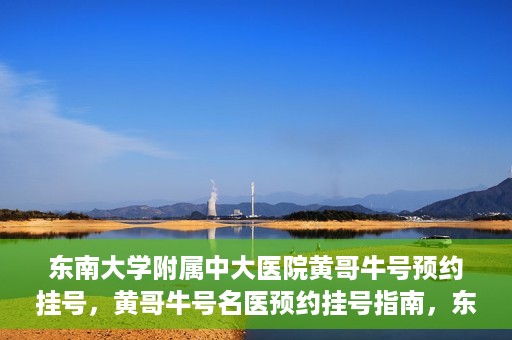 东南大学附属中大医院黄哥牛号预约挂号，黄哥牛号名医预约挂号指南，东南大学附属中大医院预约攻略