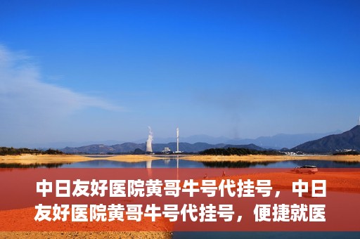 中日友好医院黄哥牛号代挂号，中日友好医院黄哥牛号代挂号，便捷就医背后的故事