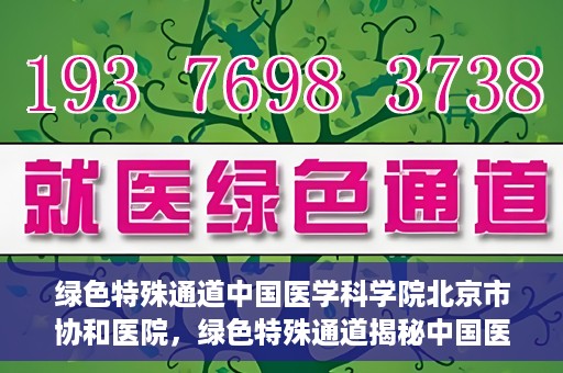 绿色特殊通道中国医学科学院北京市协和医院，绿色特殊通道揭秘中国医学科学院北京市协和医院的力量与担当