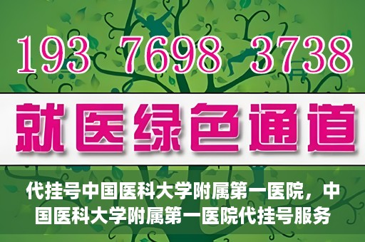 代挂号中国医科大学附属第一医院，中国医科大学附属第一医院代挂号服务详解