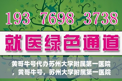 黄哥牛号代办苏州大学附属第一医院，黄哥牛号，苏州大学附属第一医院代办服务详解