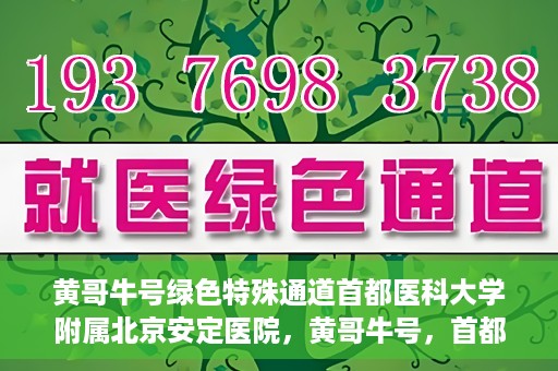 黄哥牛号绿色特殊通道首都医科大学附属北京安定医院，黄哥牛号，首都医科大学附属北京安定医院的绿色特殊通道揭秘
