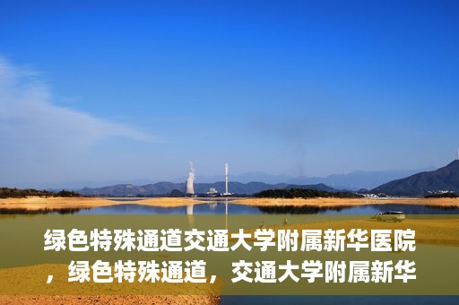 绿色特殊通道交通大学附属新华医院，绿色特殊通道，交通大学附属新华医院的探索与实践