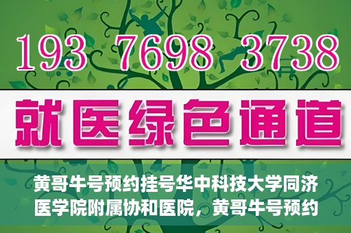 黄哥牛号预约挂号华中科技大学同济医学院附属协和医院，黄哥牛号预约挂号，华中科技大学同济医学院附属协和医院就医新体验