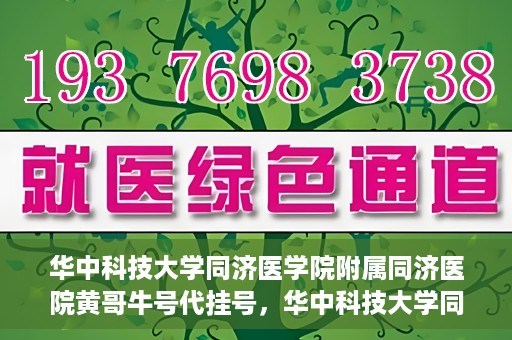 华中科技大学同济医学院附属同济医院黄哥牛号代挂号，华中科技大学同济医院黄哥牛号代挂号背后的故事