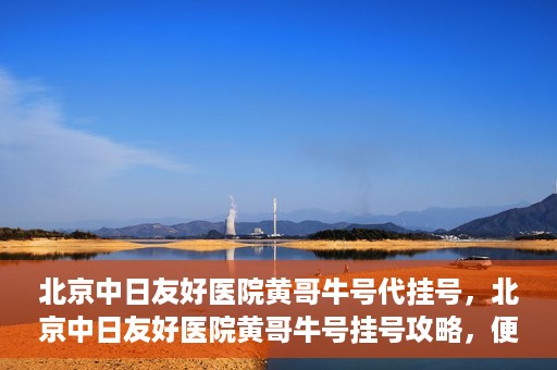 北京中日友好医院黄哥牛号代挂号，北京中日友好医院黄哥牛号挂号攻略，便捷代挂号服务解析