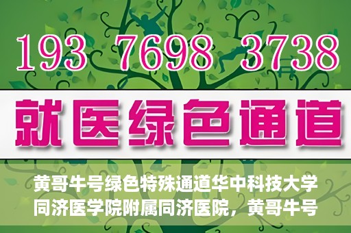黄哥牛号绿色特殊通道华中科技大学同济医学院附属同济医院，黄哥牛号绿色特殊通道，华中科技大学同济医学院附属同济医院的探索与实践